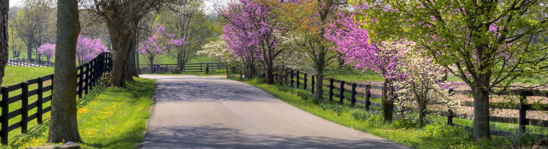 Gynecologists in Sacramento California